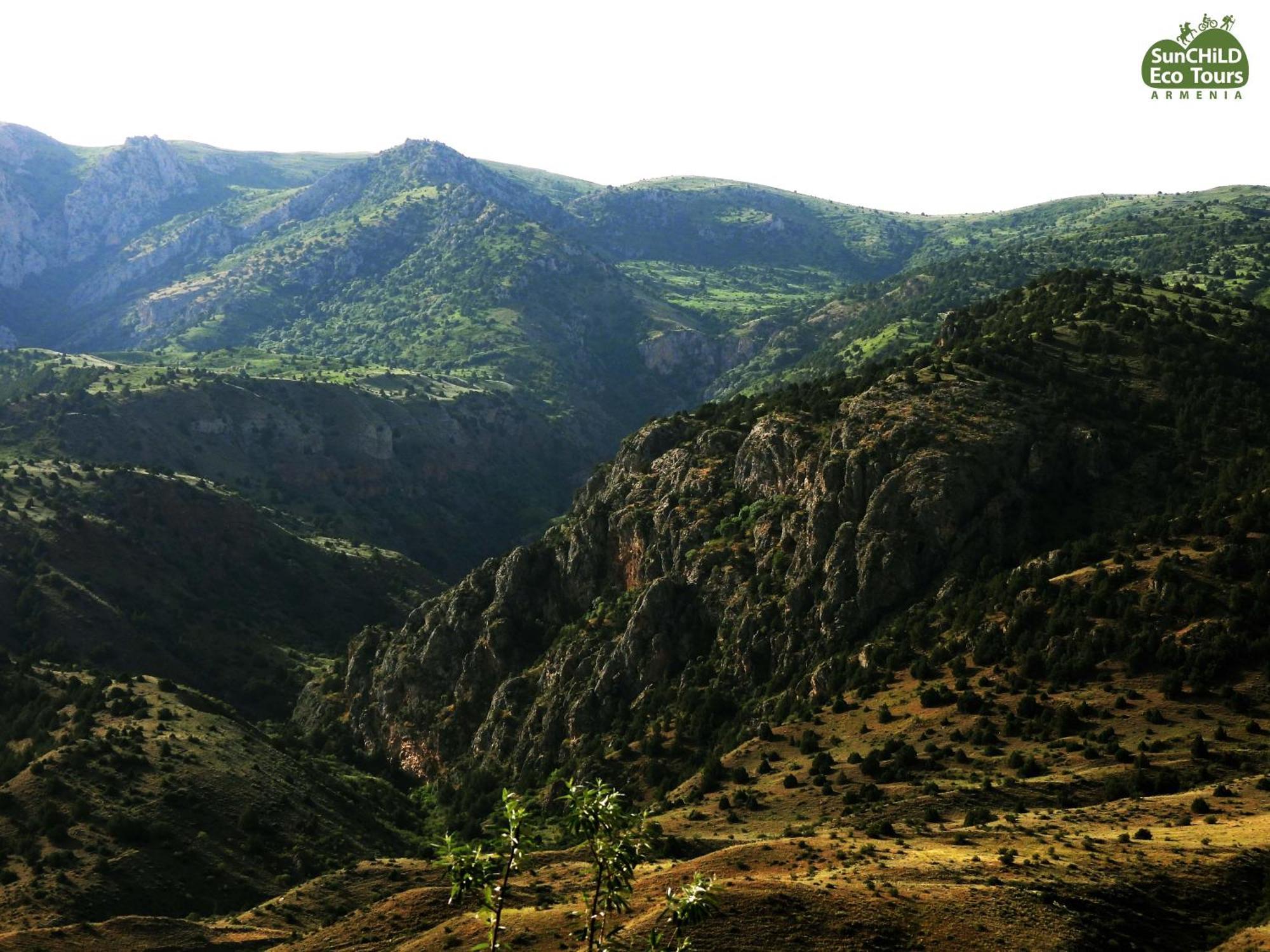 Ecolodge In Wildlife Refuge Urtsadzor المظهر الخارجي الصورة